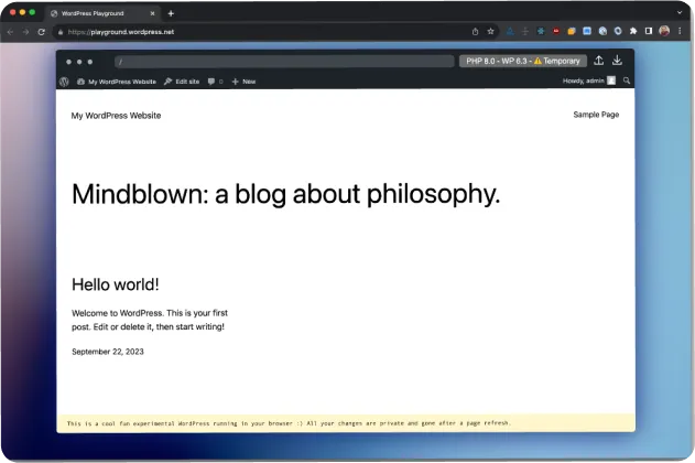 Screenshot of WordPress playground open in a browser